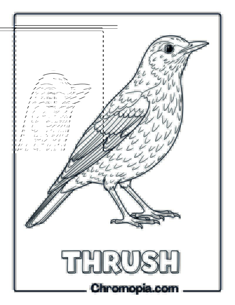 Thrush coloring page