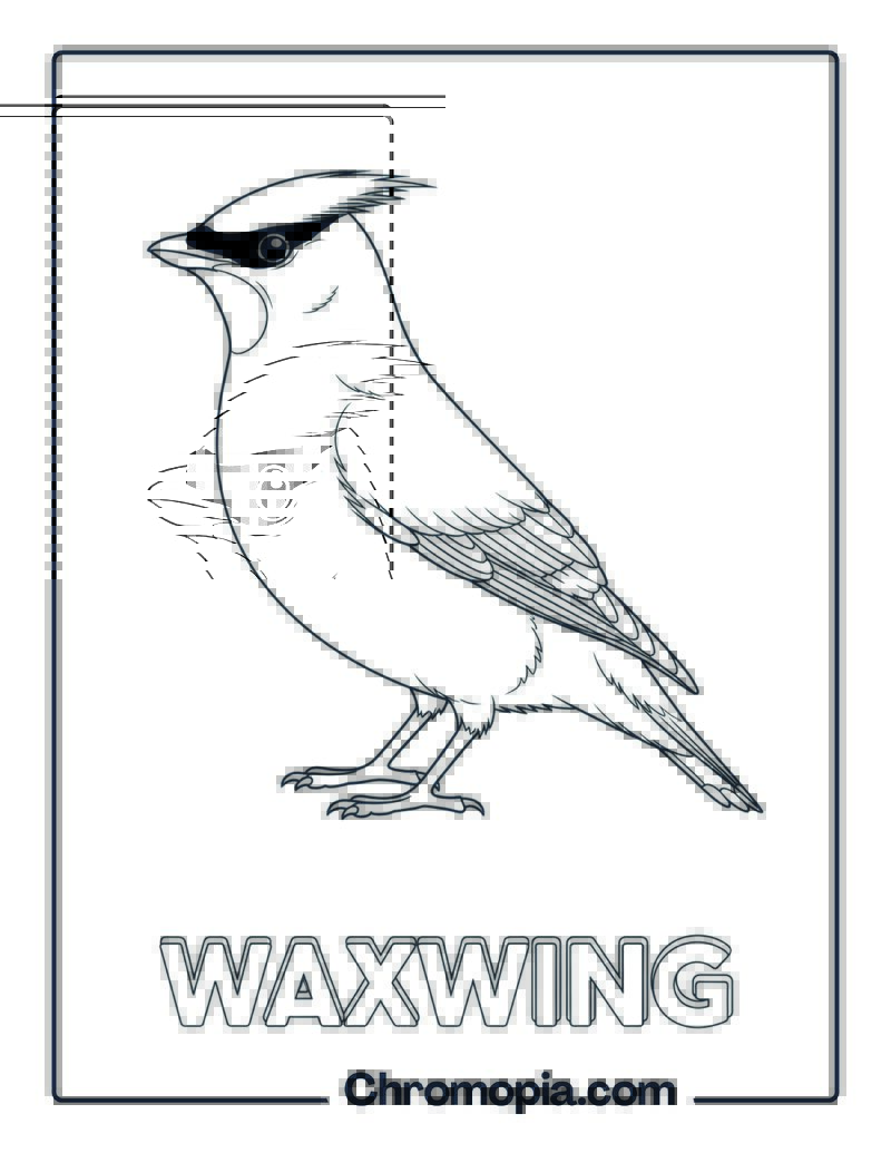 Waxwing coloring page