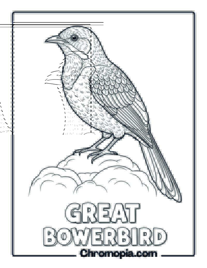 Great Bowerbird coloring page