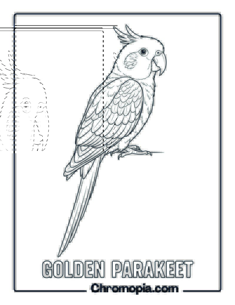 Guaruba (Golden Parakeet) coloring page