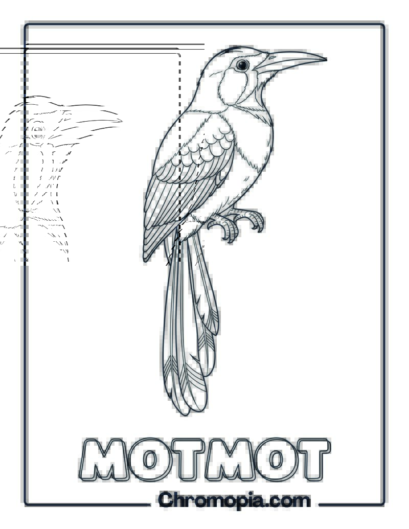 Motmot coloring page