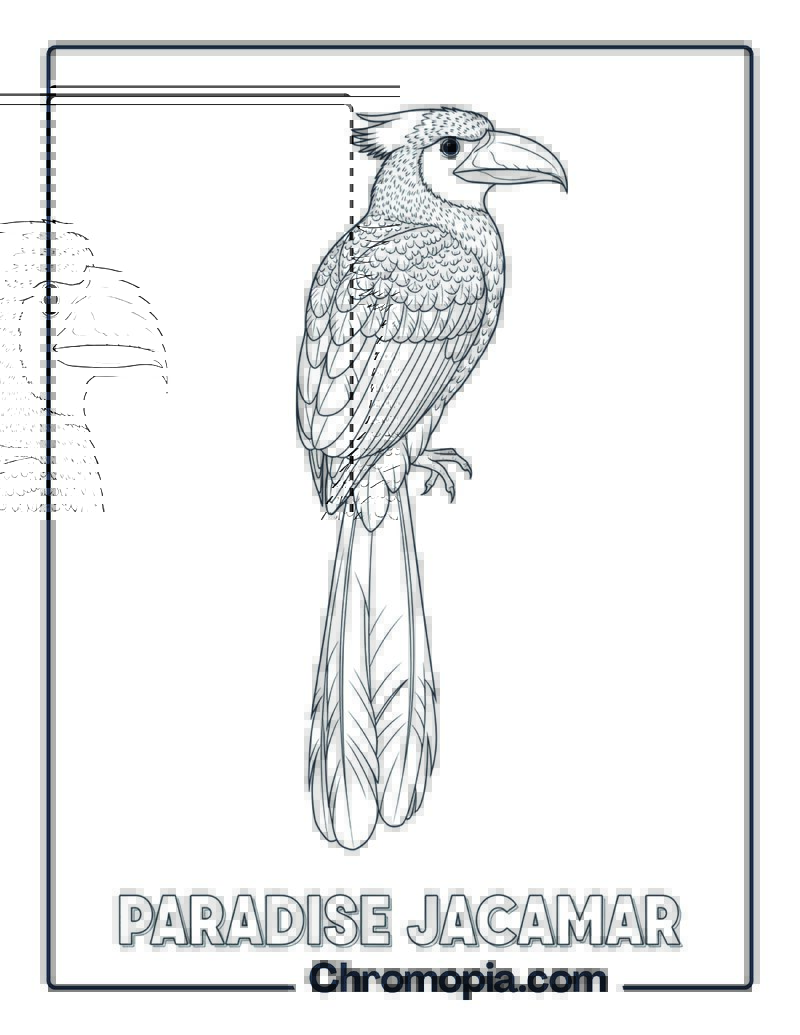 Paradise Jacamar coloring page