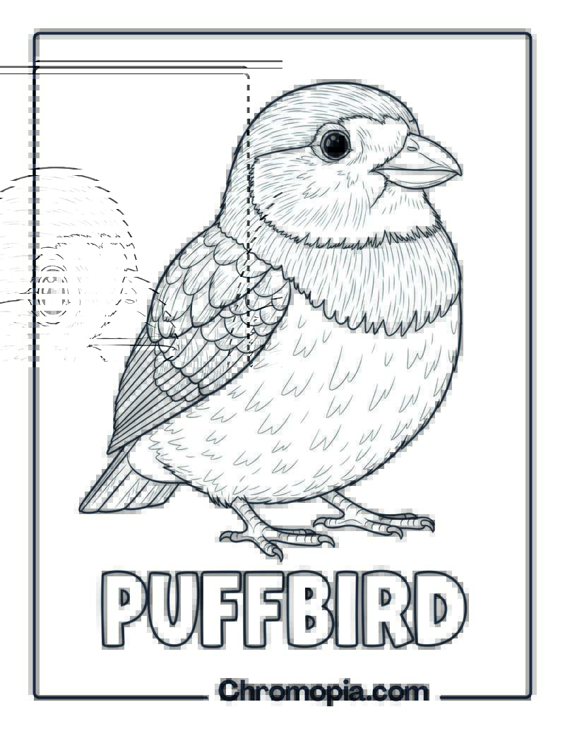 Puffbird coloring page