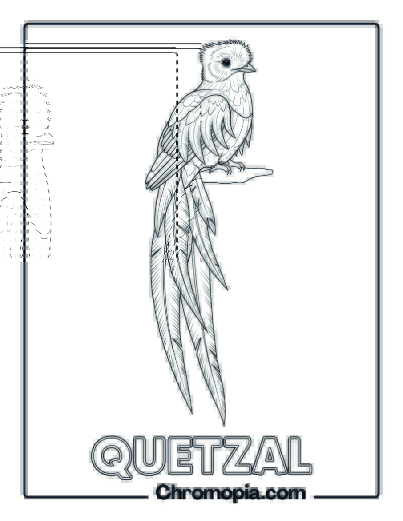 Quetzal coloring page