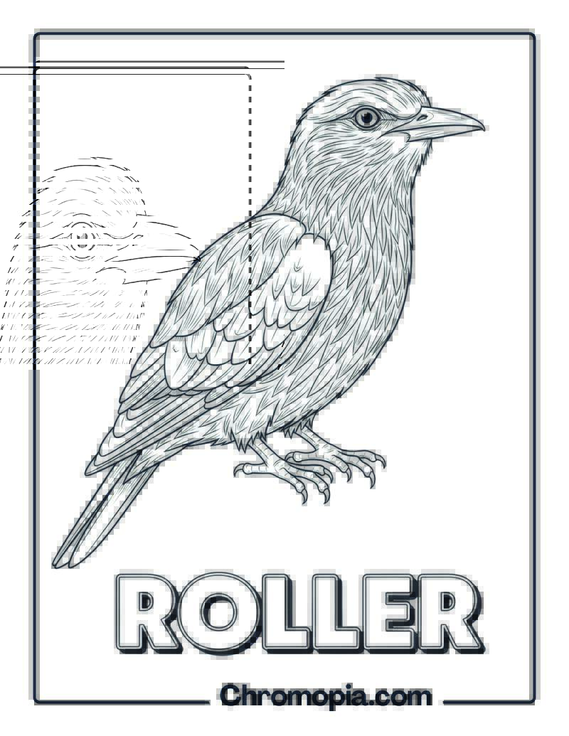 Roller coloring page