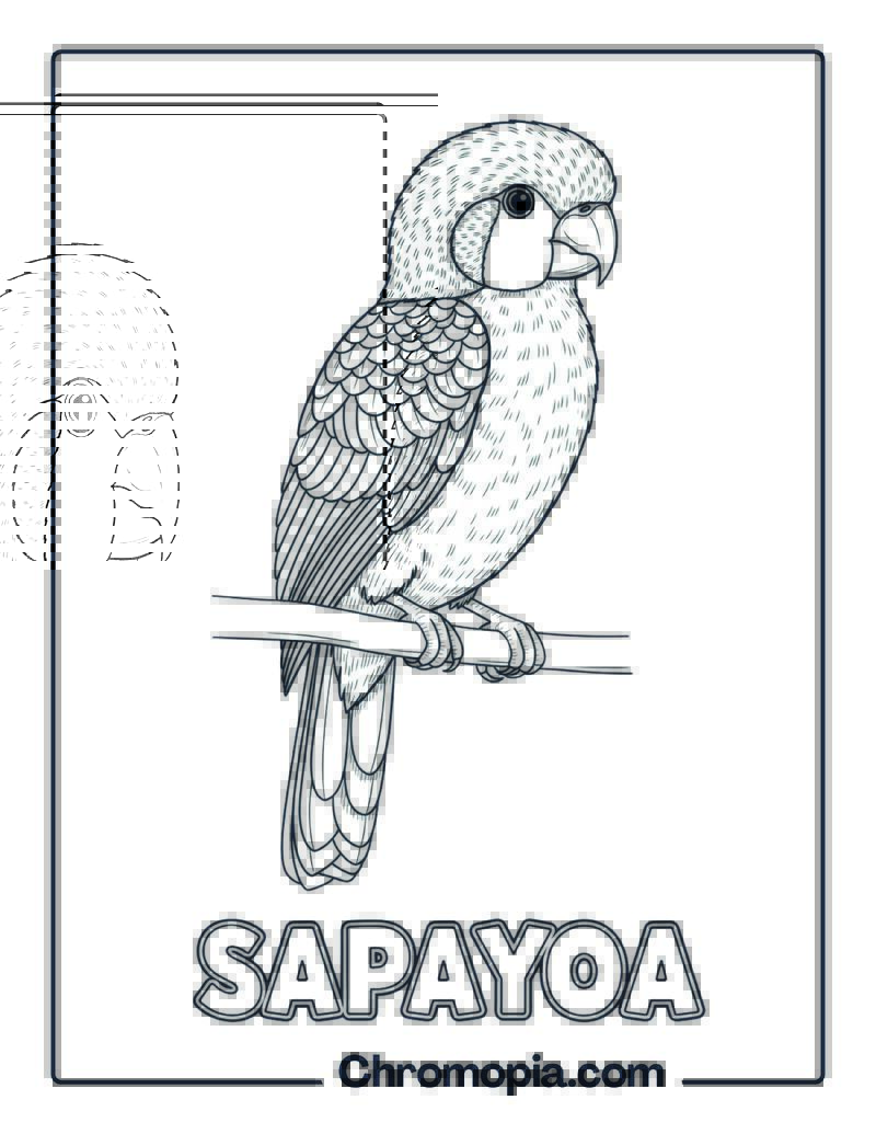 Sapayoa coloring page