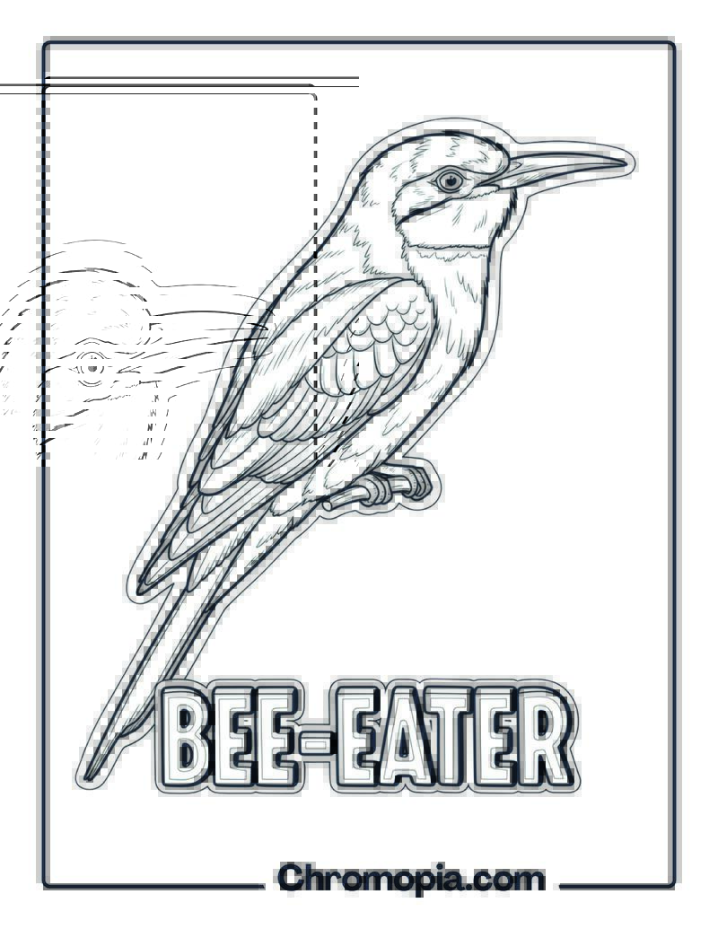 Bee-eater coloring page