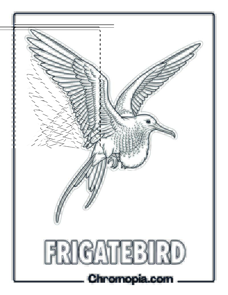 Frigatebird coloring page