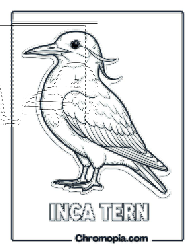 Inca Tern coloring page
