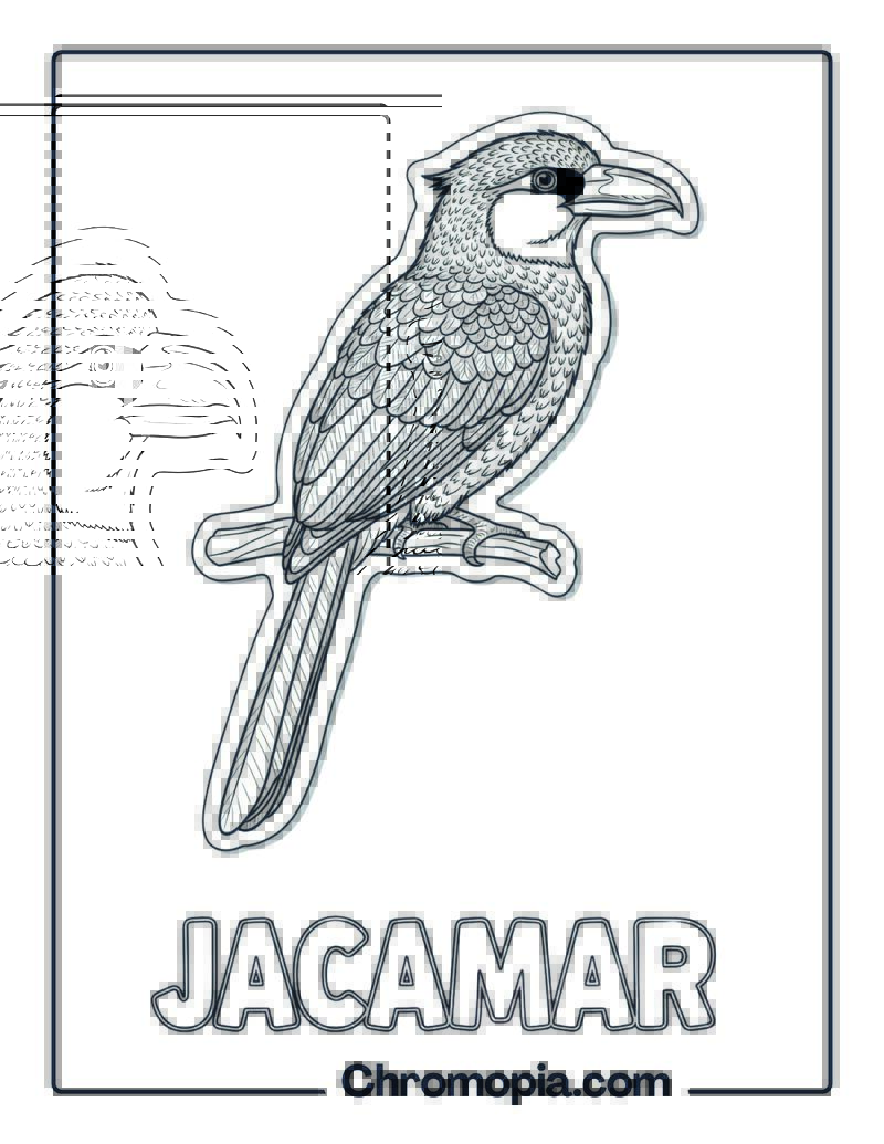 Jacamar coloring page