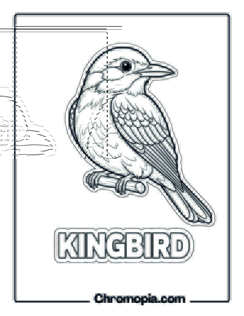 Kingbird coloring page