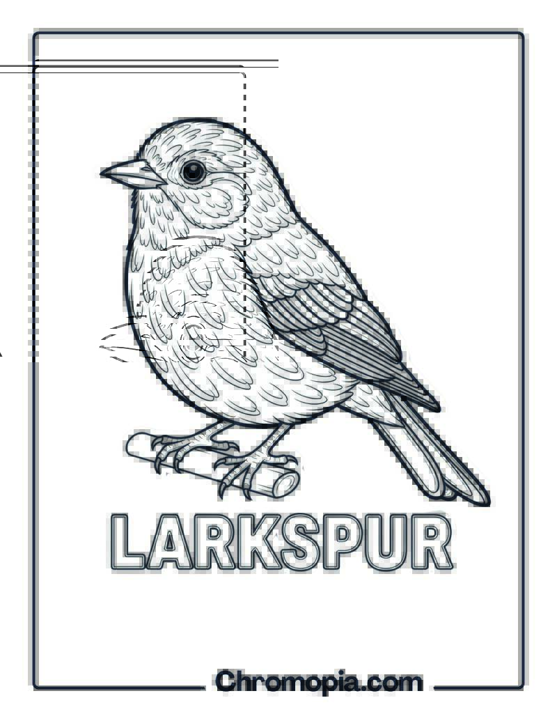 Larkspur coloring page