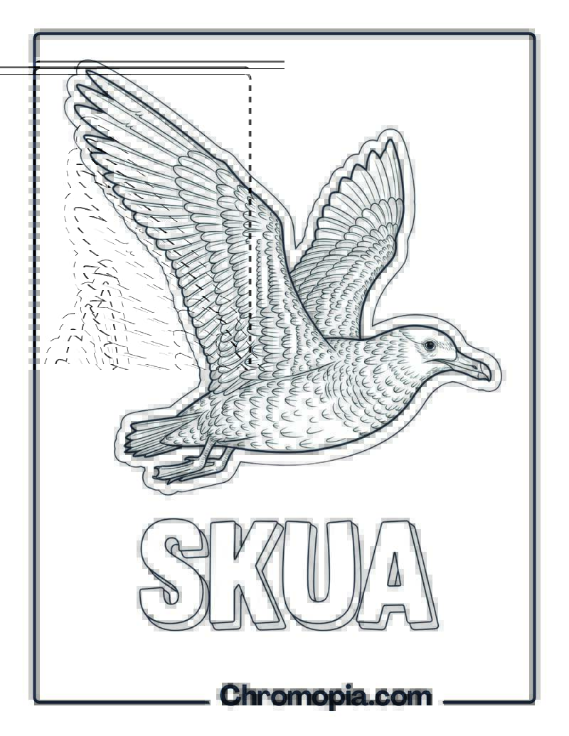Skua coloring page