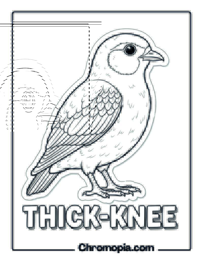 Thick-knee coloring page