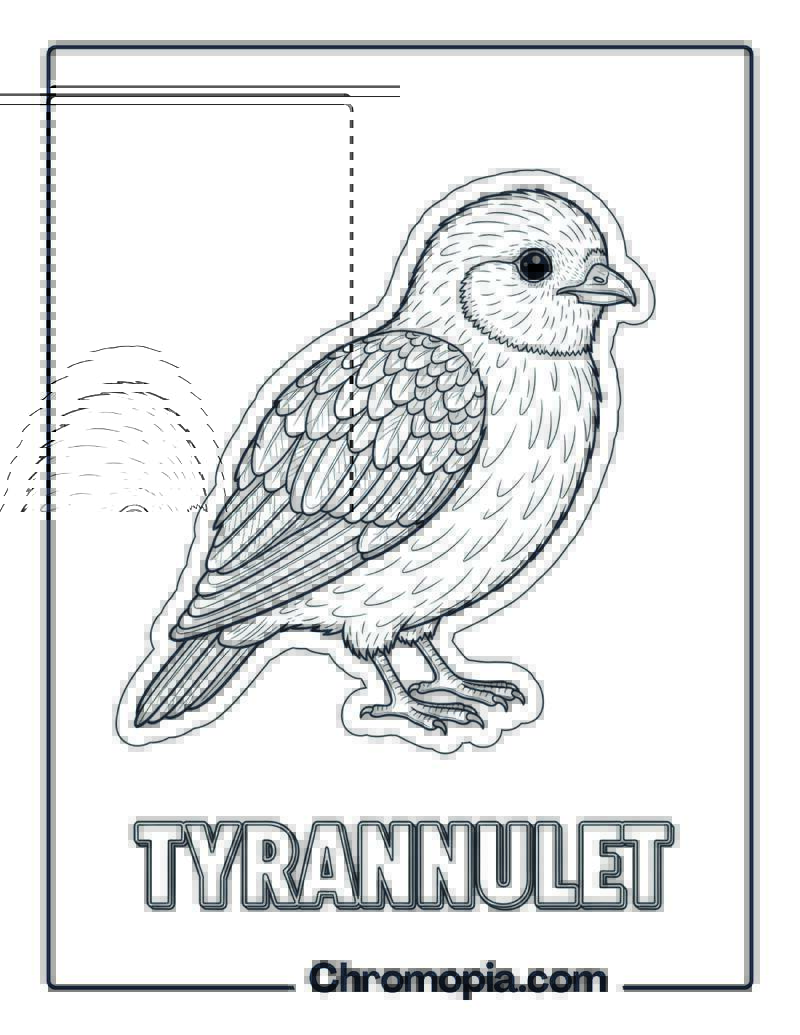 Tyrannulet coloring page