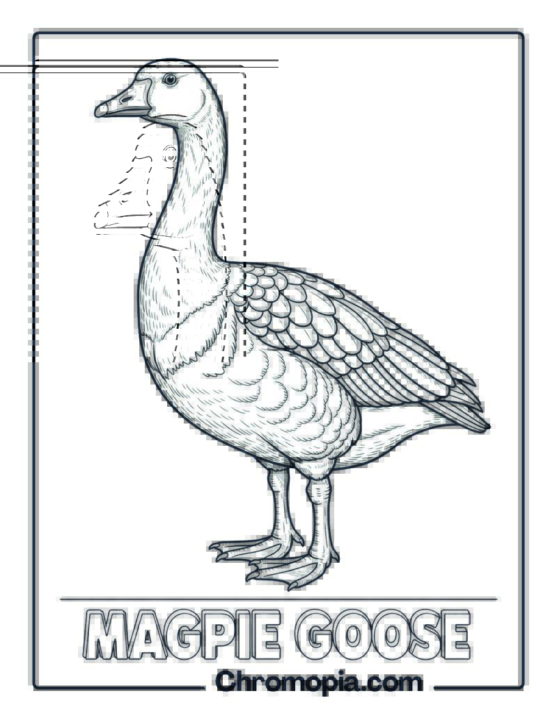 Magpie Goose coloring page
