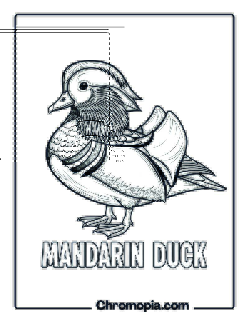 Mandarin Duck coloring page
