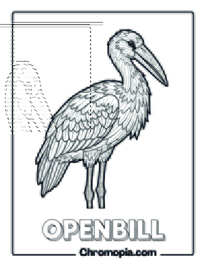 Openbill coloring page