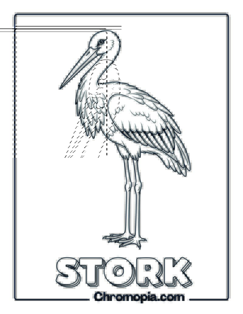 Stork coloring page