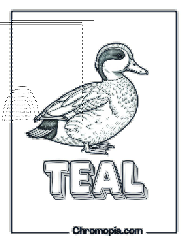 Teal coloring page