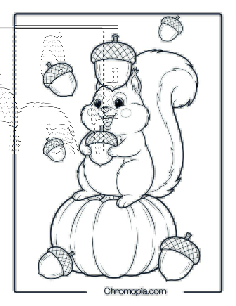 Cute Squirrel Gathering Acorns Coloring Page