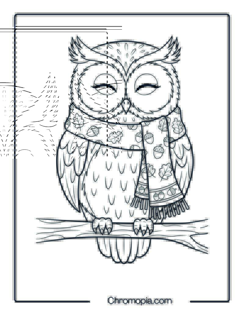 Thanksgiving Owl Wearing Scarf Coloring Sheet