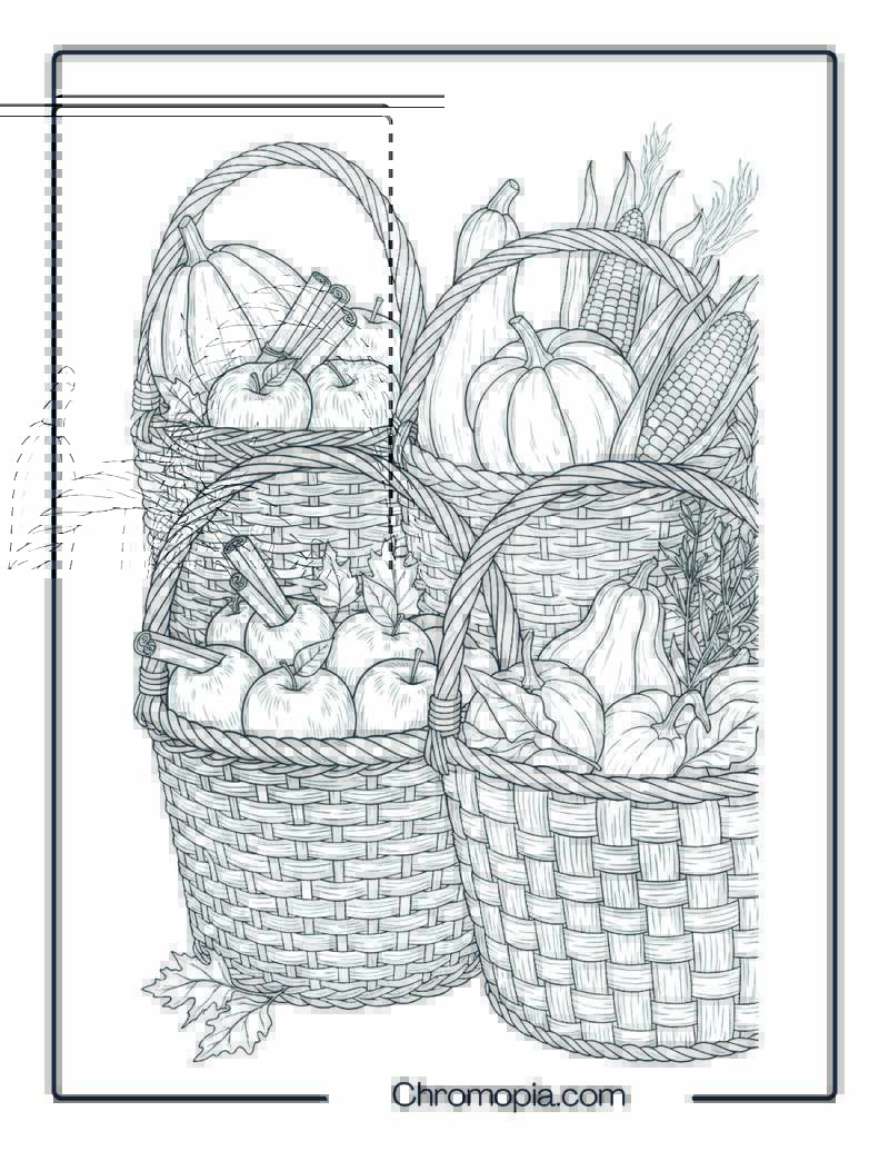 Ultra Realistic Baskets of Harvest Coloring Page