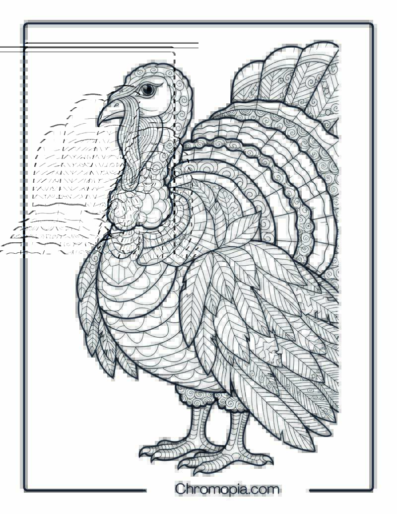Ultra Realistic Zentangle Turkey or Leaves Coloring Page