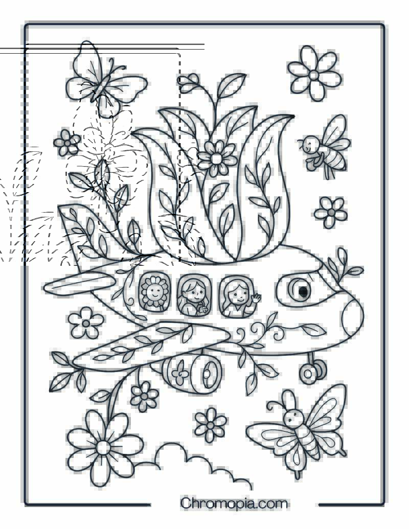 Blossom-Filled Flower Jet – Flower-Themed Aeroplane Coloring Page