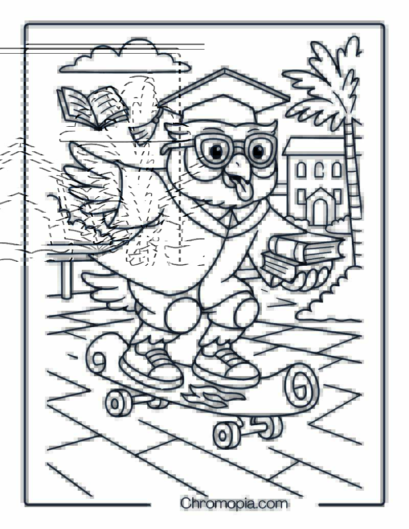 Owl in Graduation Robe Skating Through a Campus – Skateboard Coloring Page