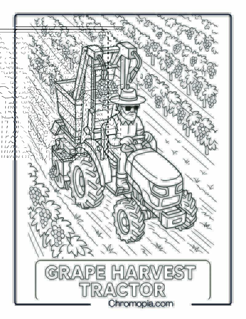 Vineyard Mini-Tractor with Grape Harvester – Tractor Coloring Page