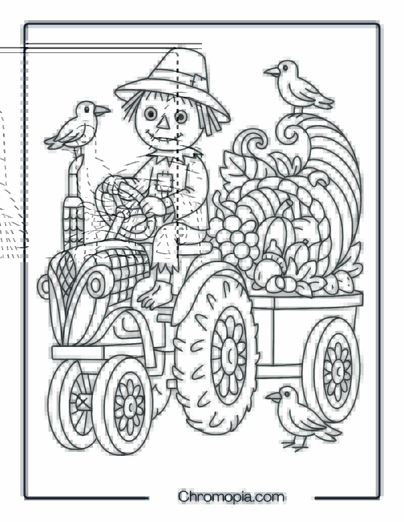 Scarecrow Tractor Delivering Cornucopia – Thanksgiving Tractor Coloring Page
