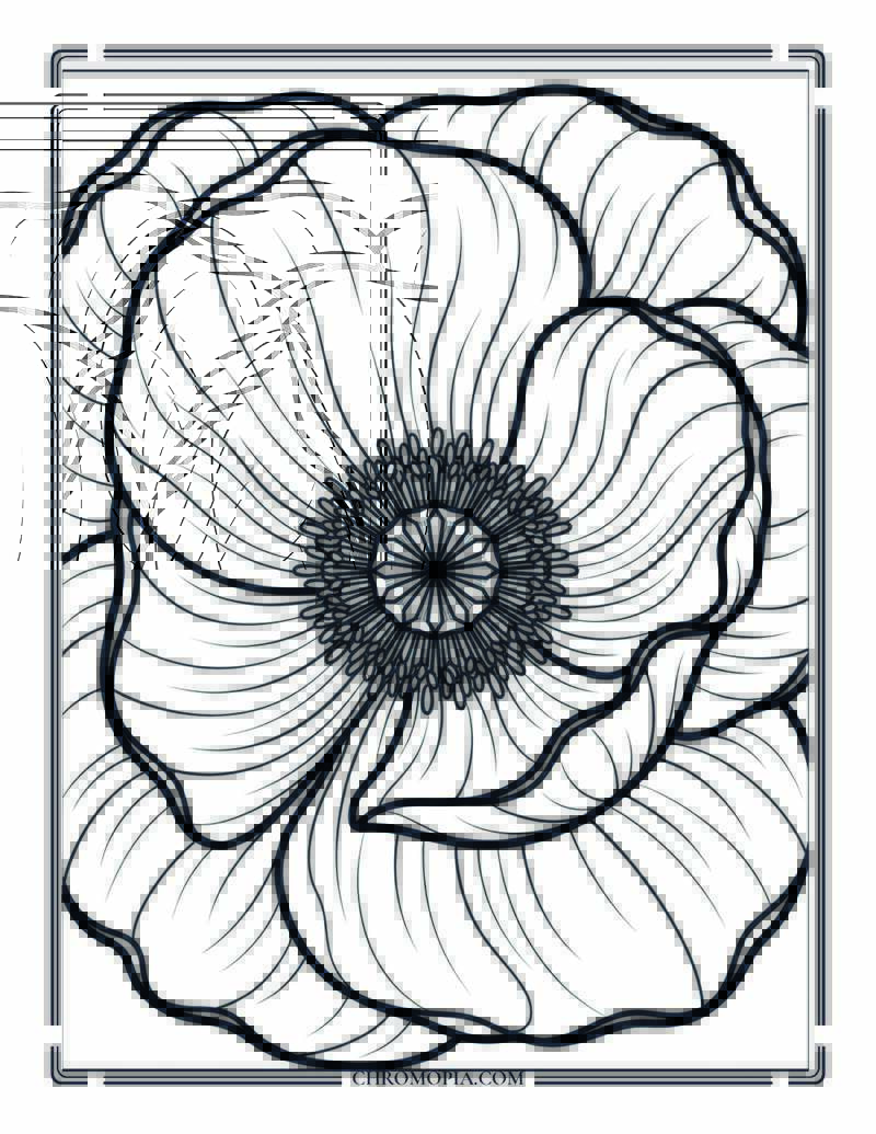 Georgia O Keeffe Style Flower Close Up Artist Appreciation Coloring Page
