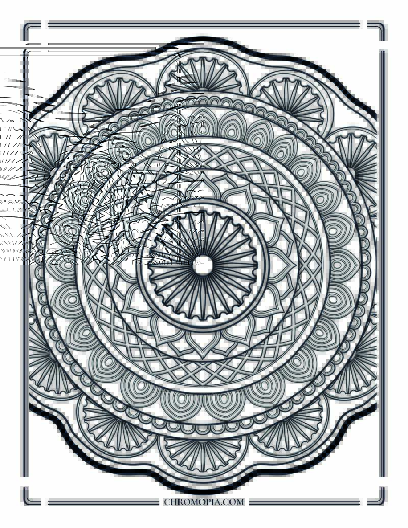 Ashoka Chakra Mandala Indian Independence Day Coloring Page