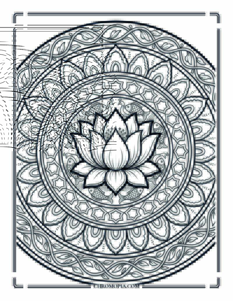 Indian Lotus Mandala National Flower Indian Independence Day Coloring Page