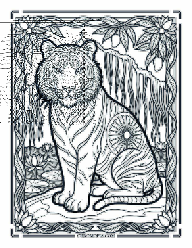 Royal Bengal Tiger Ashoka Pattern Indian Independence Day Coloring Page
