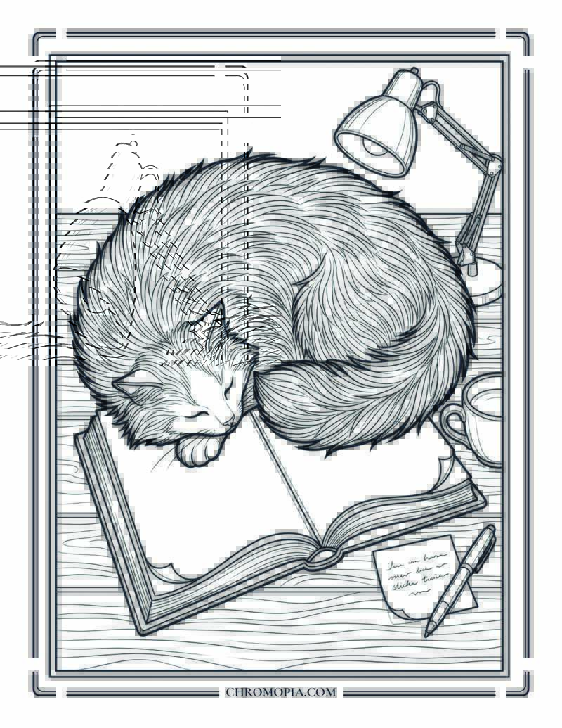Cat Asleep On Open Hardcover Book Cozy National Book Lovers Day Coloring Page