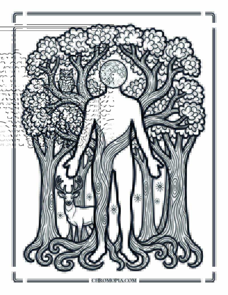 Human Silhouette Filled With Forest And Botanicals Coloring Page