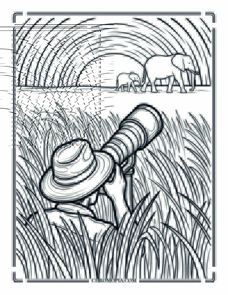 Wildlife Photographer At African Sunrise On World Photography Day Coloring Page