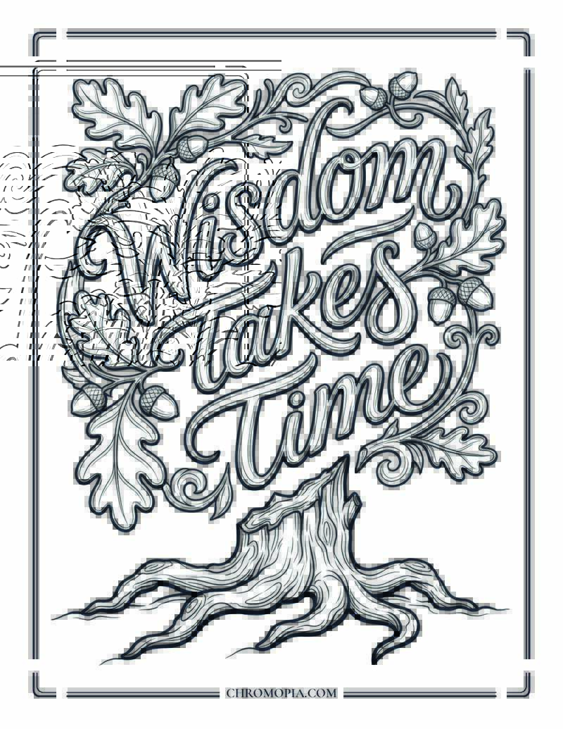 Wisdom Takes Time Botanical Calligraphy Coloring Page