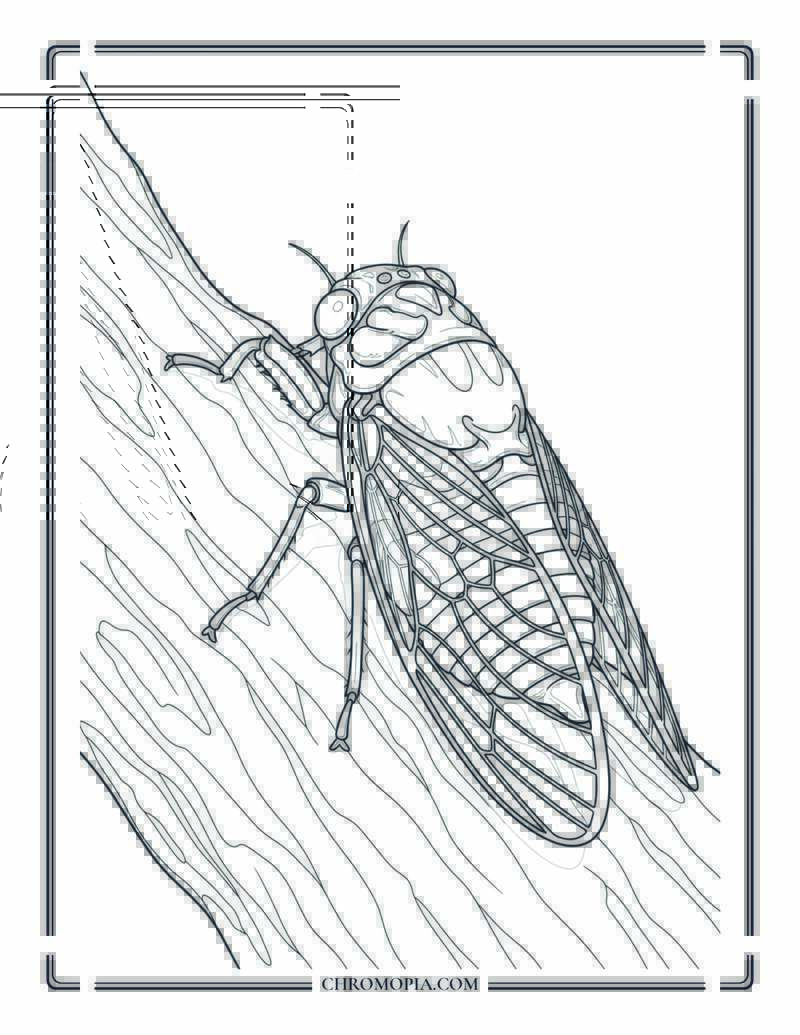 Detailed Cicada Resting On Tree Bark Coloring Page