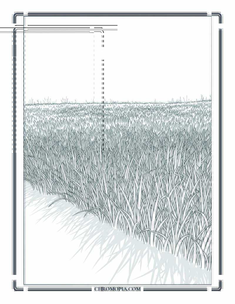 Tall Grass Field With Long Late Summer Shadows Coloring Page