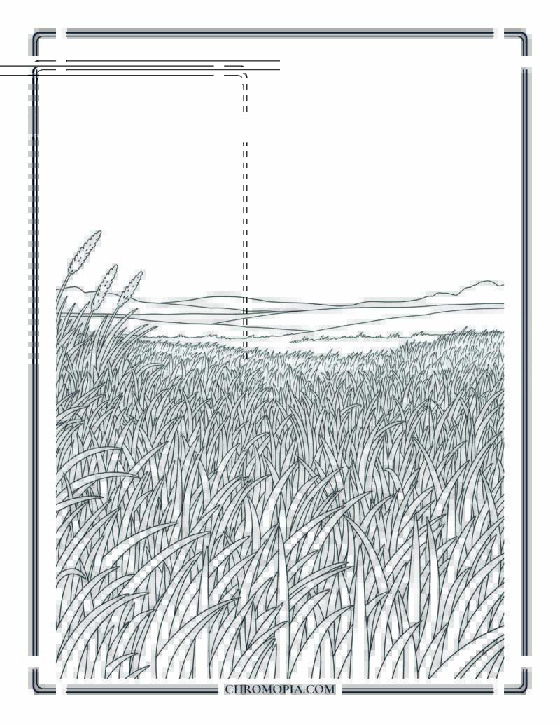 Open Meadow With Tall Grass Coloring Page