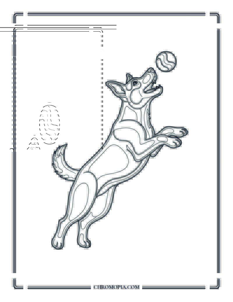 Dog Catching Ball Mid Air Coloring Page