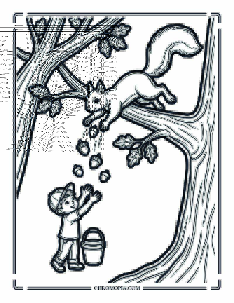 Squirrel Dropping Nuts From Tree Coloring Page