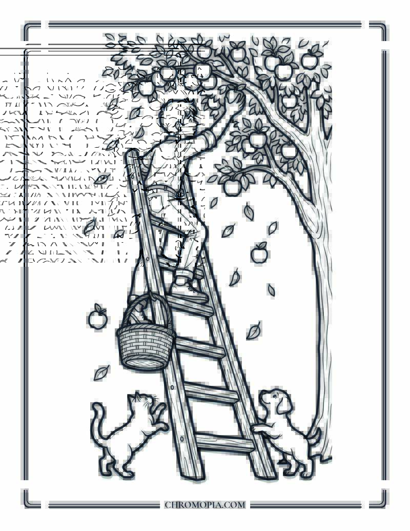 Apple Orchard Ladder Reach Coloring Page