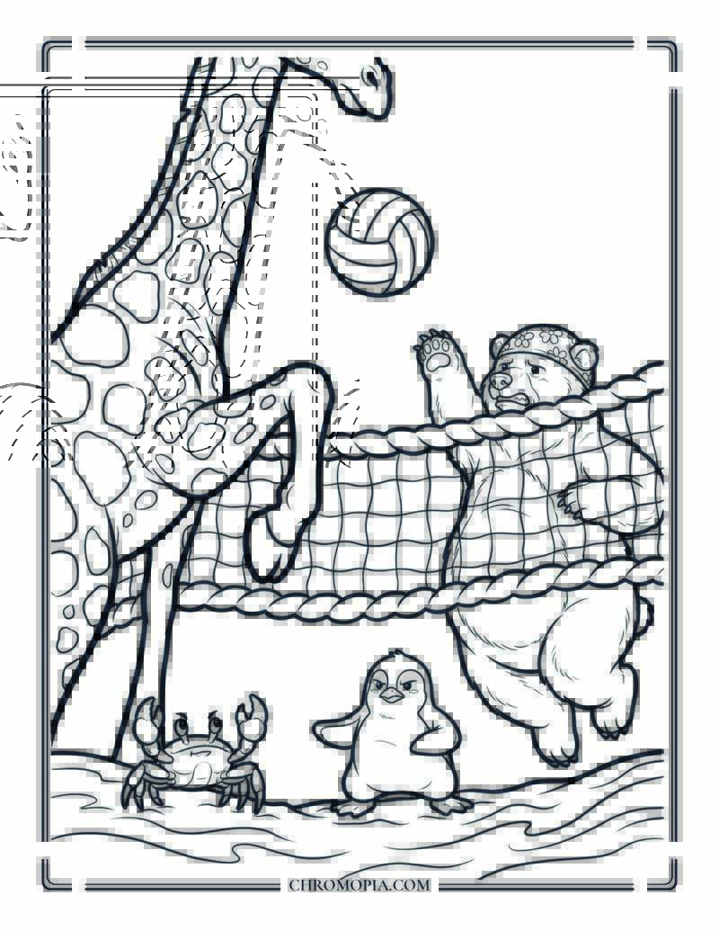 Giraffe And Bear Vs Penguin In A Beach Volleyball Game Coloring Page