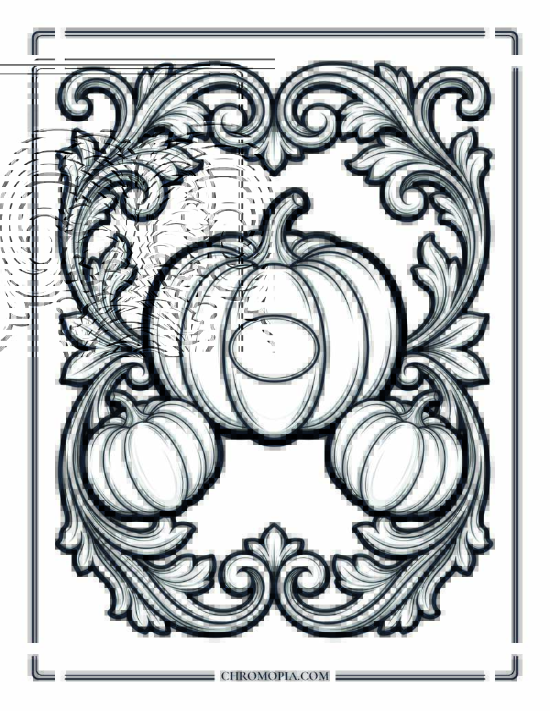 Luxury Ornamental Pumpkin Frame Coloring Page