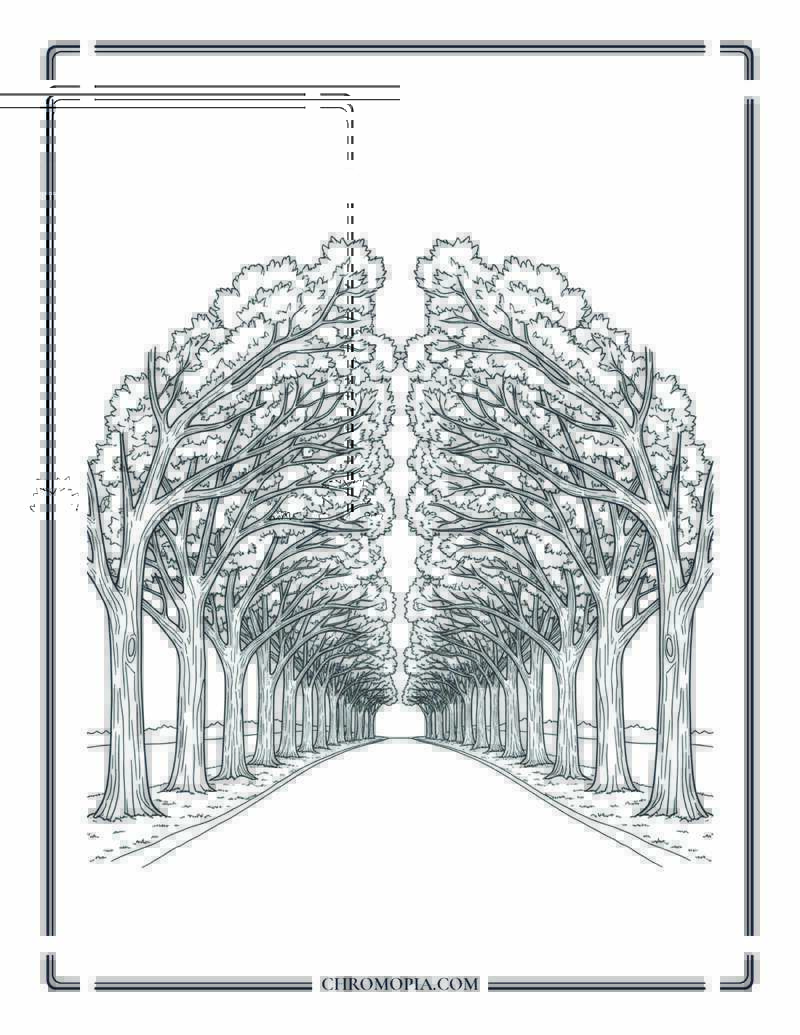 Majestic Autumn Trees In Row Tree Tunnel Scene Coloring Page