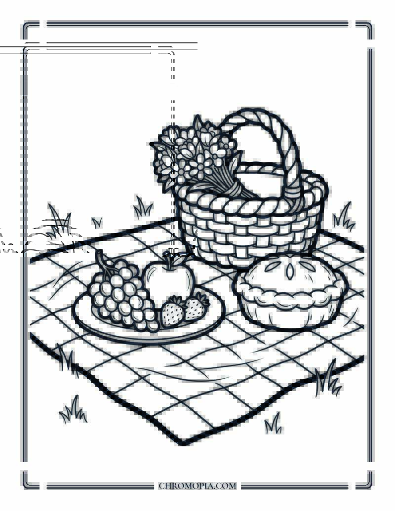 Spring Picnic Coloring Page